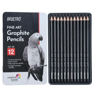 brustro fine art graphite pencil set of 12 (10b–2h)